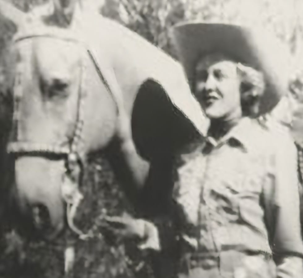 Pinto Heritage Foundation Current Fundraisers form background image